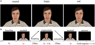 A neurophysiological signature of dynamic emotion recognition associated with social communication skills and cortical gamma-aminobutyric acid levels in children